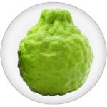 Bergamot