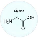 Glycine