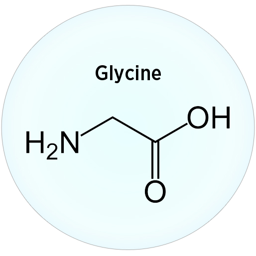 Glycine