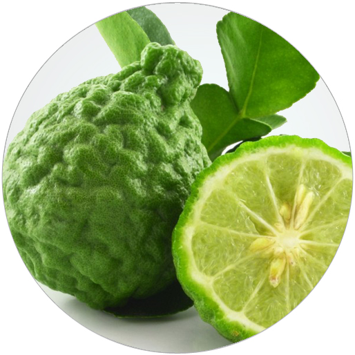 Bergamot