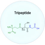 Tripeptid