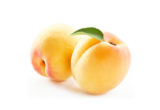 Apricot-oil