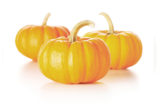 Pumpkin-oil