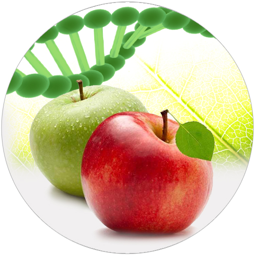 MALUS DOMESTICA FRUIT CELL CULTURE EXTRACT