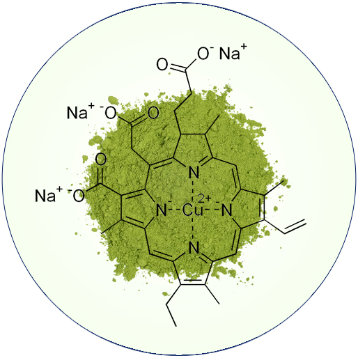 Chlorofyl