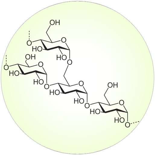 Amylopektin