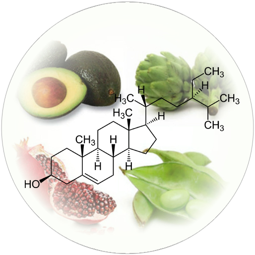 Beta-Sitosterol