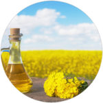 Canola Oil