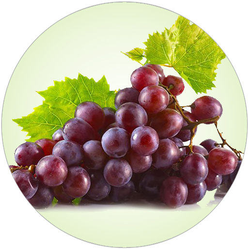 Resveratrol