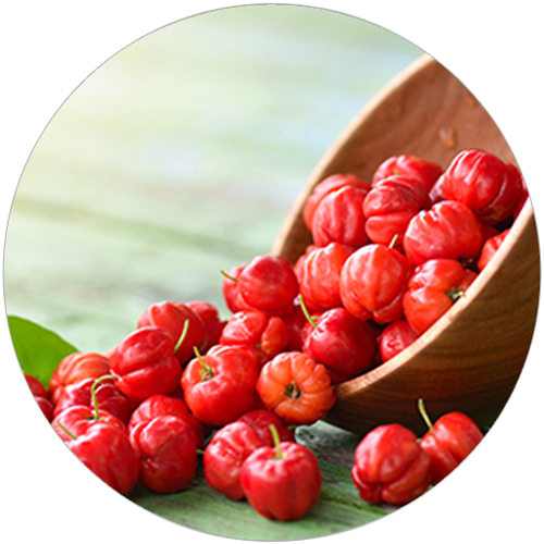 Malpighia Emarginata (Acerola) Fruit Extract