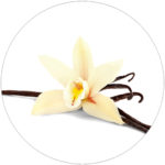 VANILLA PLANIFOLIA FRUIT EXTRACT