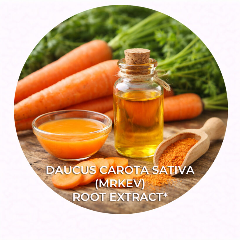 Mrkev obecná setá *