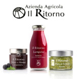 IL RITORNO