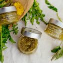 Pesto_pampeliska_3.jpg